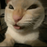 CE_Muehehehehe