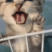 CE_CatJail