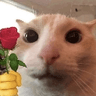emoji_74