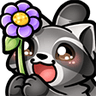 RaccoonFlower
