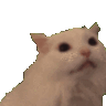 __