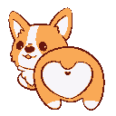49516corgibooty