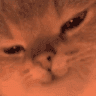 0e5e88ba3bdca568625d966882599d54