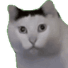 3ff3fa7c1f78d191c91dd11d86abd080