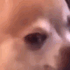 4e7835dfe4e13080bbfa55aaf9f455a3