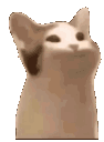 2a8932941c0ba3ae0acfcd34d5d68940