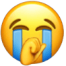 Sob_Bradar