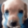 emoji_492