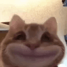 ww_wtfsmile