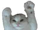 catWave4x