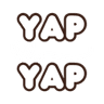 C_yap_DNS