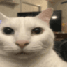 ist