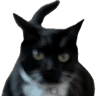 emoji_384