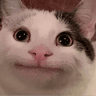 emoji_2