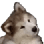 1170551662285443114