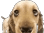 1170551667679305728