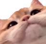 1178862131274322003