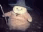 17239harrypotter
