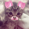 kawaiCat