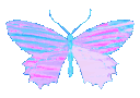 iridescent_Butterfly