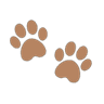 brown_paw_prints