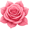 Pinkwinterflower