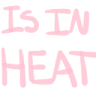 T_is_in_heat