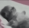 cat_sleep