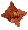 rafflesia