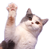 emoji_364