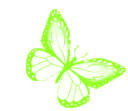 butterflyyellowgreenbutterfly