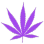 v9purple