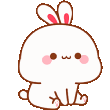 nodbunny