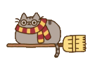 pottercat