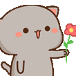 zOR_yePhool