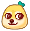 xiaohongdog