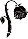 6999rose