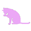 9022lightpurplekitten