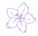 10923flower