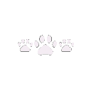 33797whitecatpaws