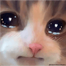 sticker_8