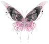 1pinkblack_butterfly
