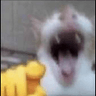 emoji_34