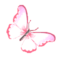 ButterflyPink