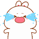 bunny_crying3