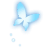 5_butterfly