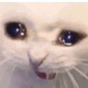 emoji_304