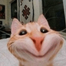 cat_hihi