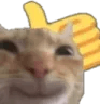 PawPawDone