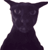 larry_evil